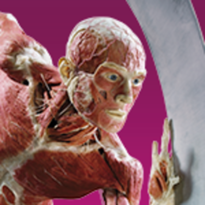Body Worlds Vital